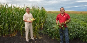 Jianming Yu and Asheesh "Danny" Singh hold an ear of corn and soybean plant in a field