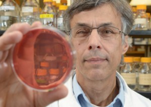 Thomas Bobik analyzes a red disk in a lab setting