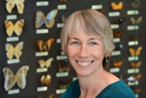 Headshot of Bryony Bonning with entomology collection of butterflies in the background