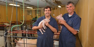 Chris Tuggle and Jack Dekkers hold baby piglets in a farrowing building