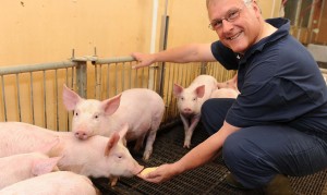 A man squats down to feed piglets feed from his hand