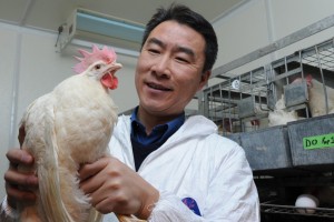 Hongwei Xin holds a chicken