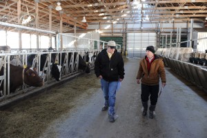 Chris Mondak and Chad Fertig walk through a dairy barn at Iowa State University.