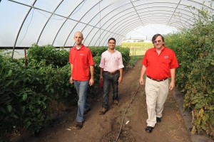 Three men walk through a greenhouse