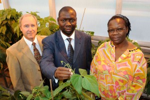 Mark Westgate, Henry Kizito, and Dorothy Masinde look over common bean plants in a greenhouse