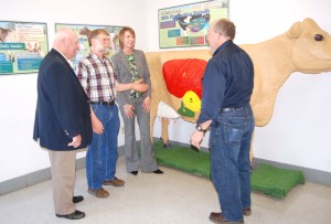 Leo Timms stands in front of dairy cow model while talking to three dairy experts.