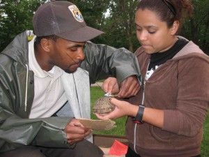 Jeramie Strickland and a girl take measurements of a turtles shell in a wooded area.