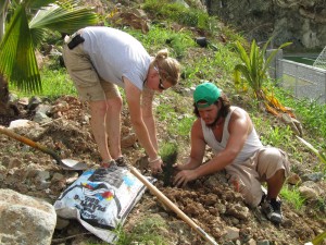 Morgan Wright and Winston Beck plant plants on the rocky terrain of the island of St. John using planting soil and shovels.