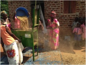 Ugandan women use a machine to clean seeds