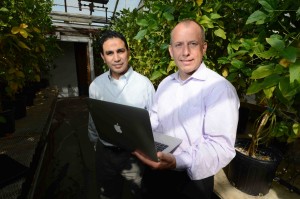 Thomas Baum and Tarek Hewezi hold a computer in a greenhouse