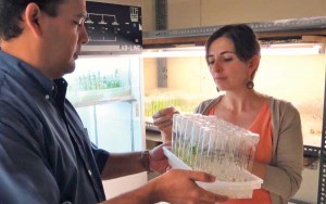 Adriana Murilllo Williams and Victor Jimenez inspect specimens from University of Costa Rica's plant breeding labs