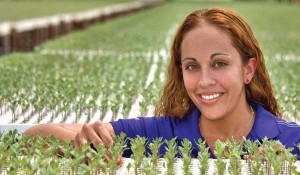 Jasmine Lopez working on plant breeding