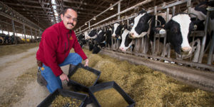 Hugo Ramirez-Ramirez feeds dairy cattle