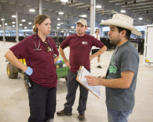 Justin Saénz, responds to Hurricane Harvey by opening horse shelter and distribution center to area producers. He speaks with vet regarding horses.