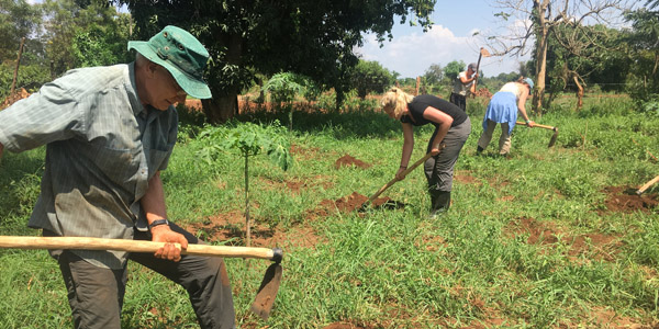 Professor Dick Schultz uses a hoe to create a garden in Uganda. Three students can be seen doing the same in the background.