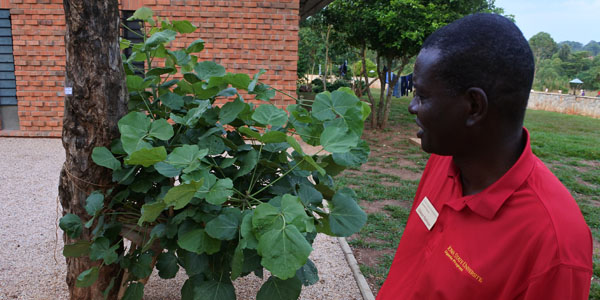 Gideon Nadiope poses with the Mpirigiti tree replanted at the Mpirigiti Rural Training Center