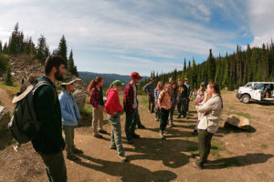Group of students and faculty talking to each other while standing in an area surrounded by tall pine trees.